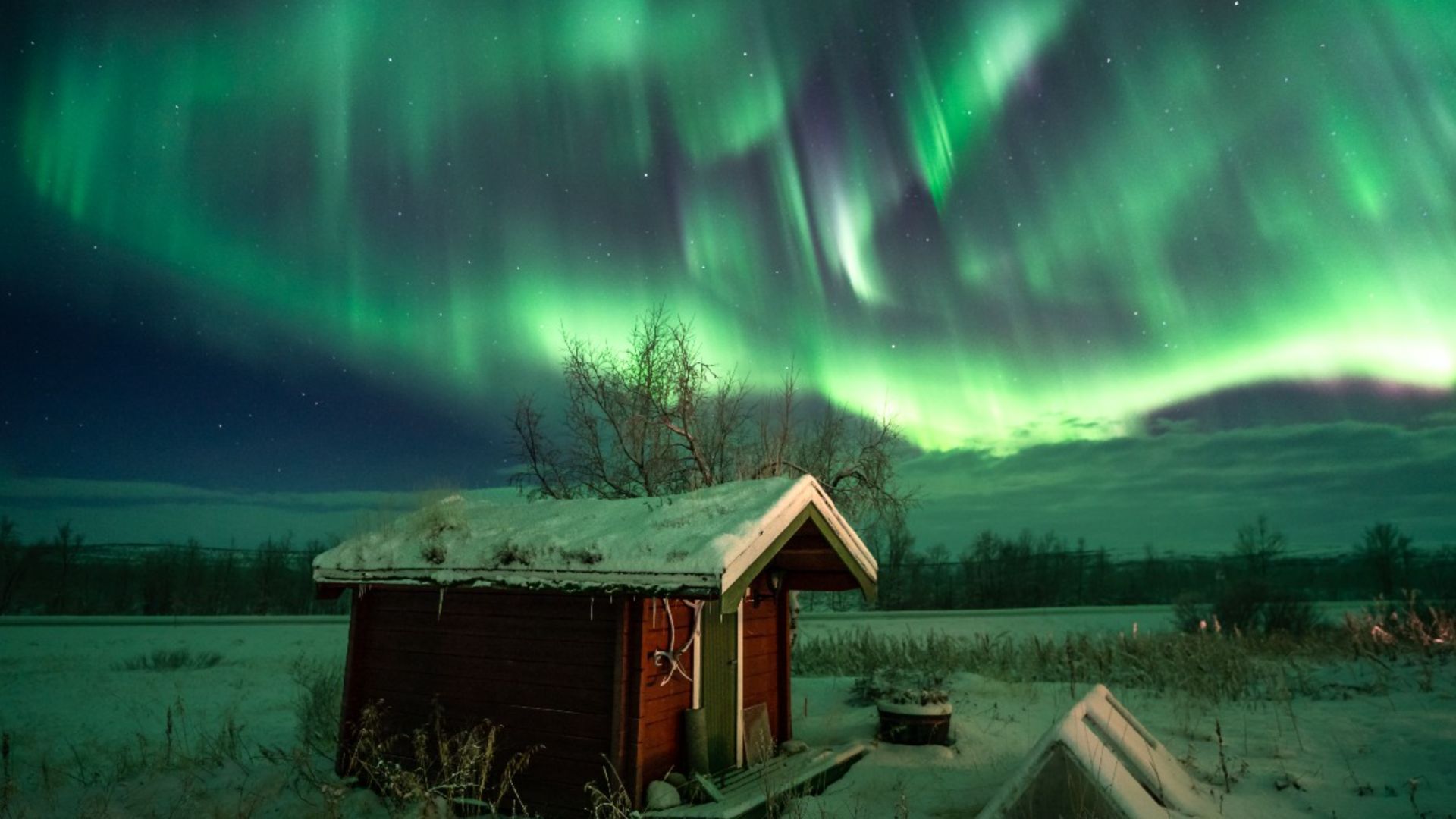 Northern lights cruise