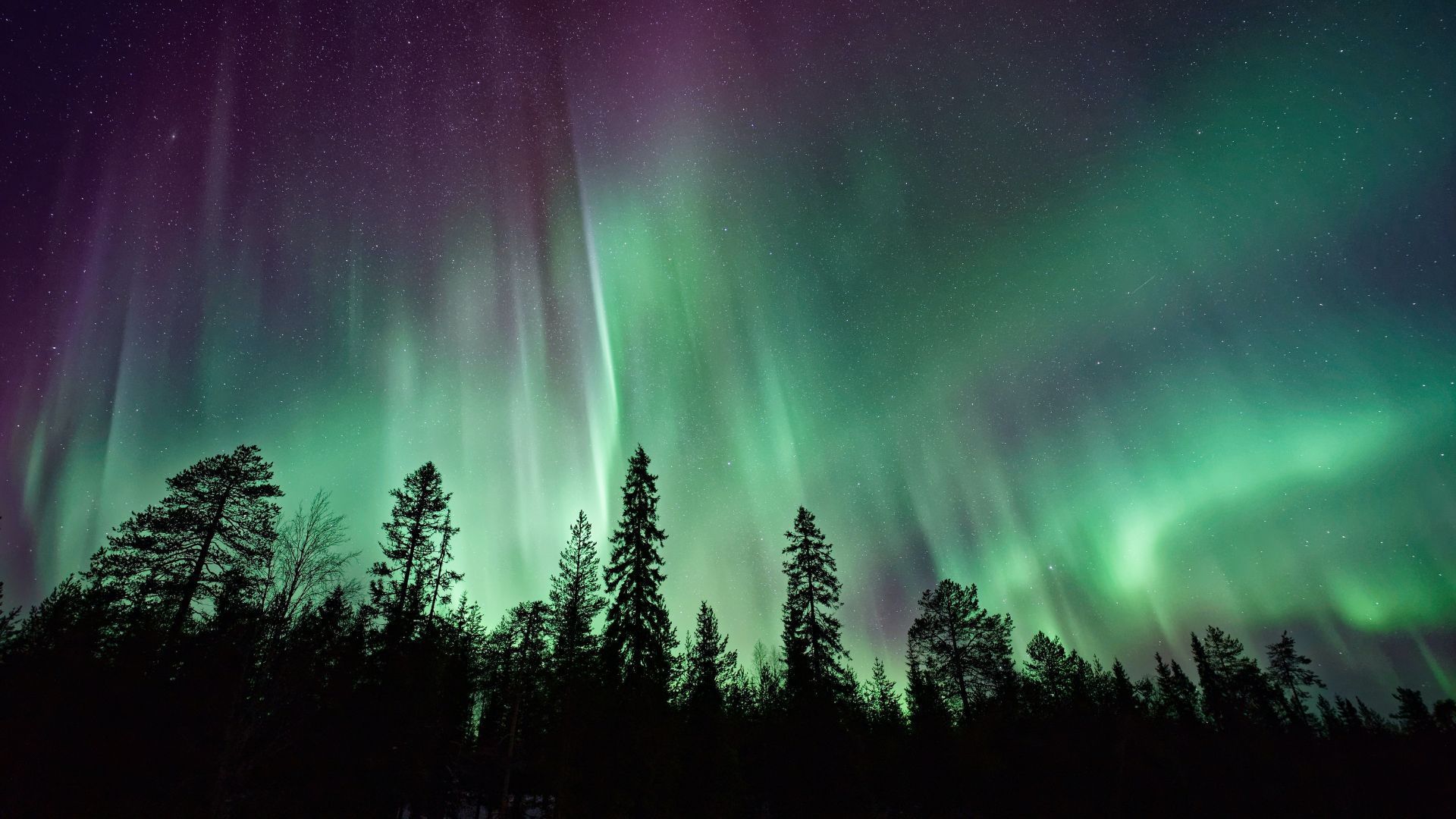 Why Next 23 Years Is The Best Time To View The Northern Lights