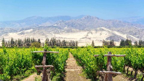 This 34-Day Private Jet Tour Takes You To Distilleries Around The World