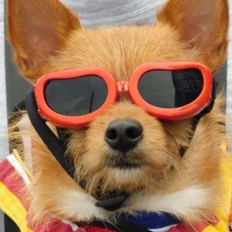 songkran-archives-travel-and-leisure-asia-thailand