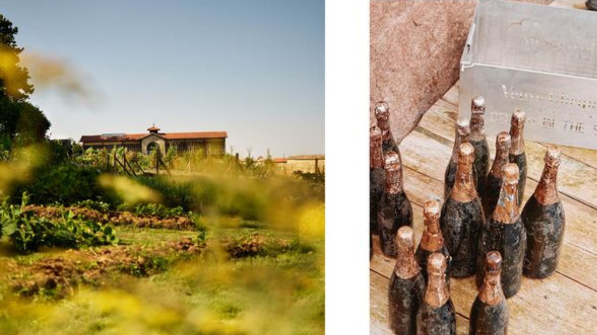 There's A Veuve Clicquot Champagne Cellar 131 Feet Underwater