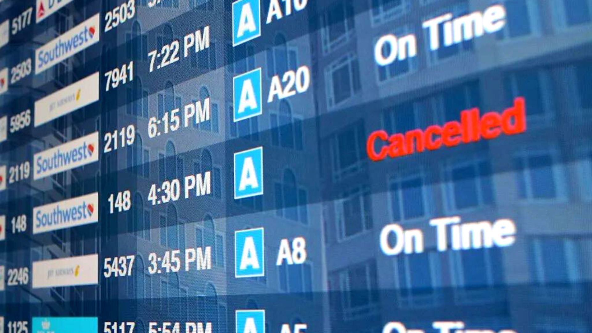 What to Do If Your Flight Is Cancelled, According to a Travel Expert