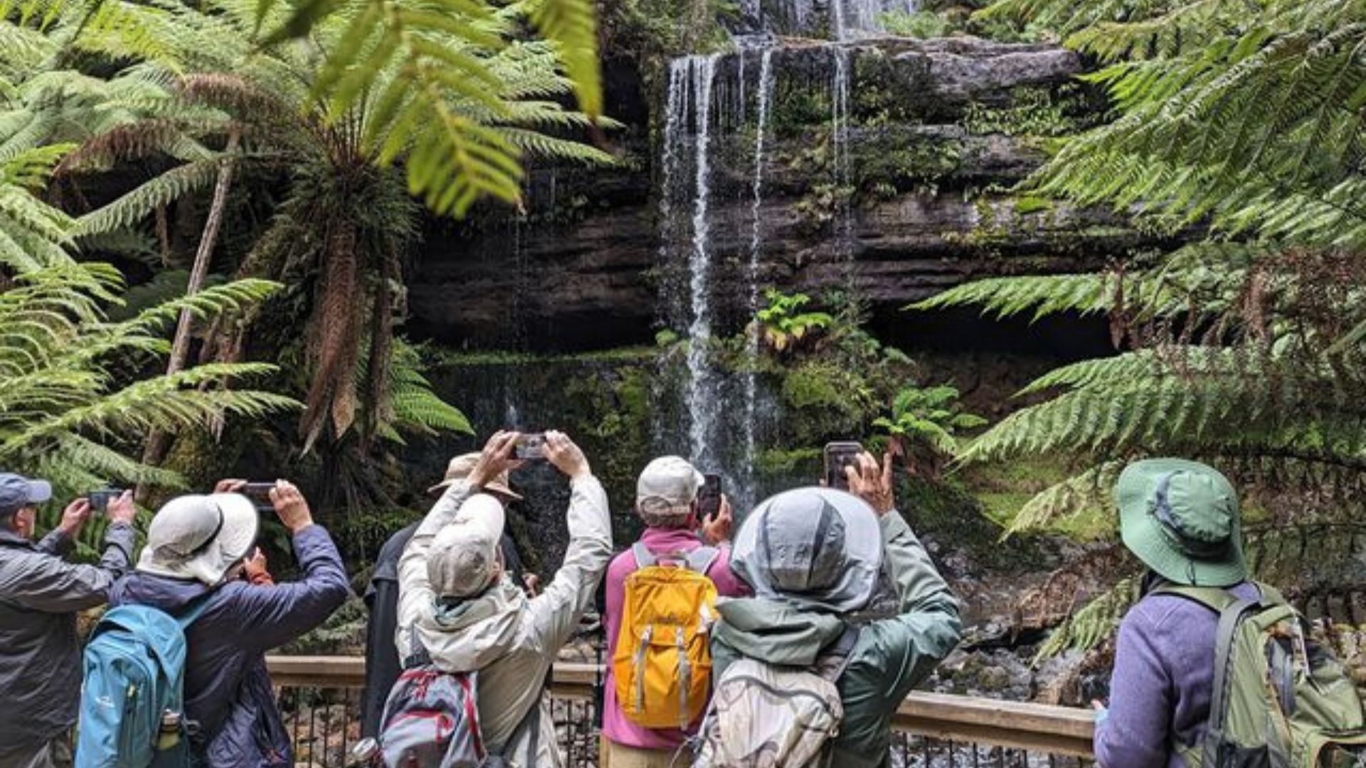 Wildlife safari in Australia