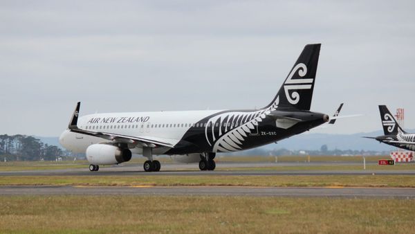 This Airline Is Weighing People Before Boarding; Find Out Why