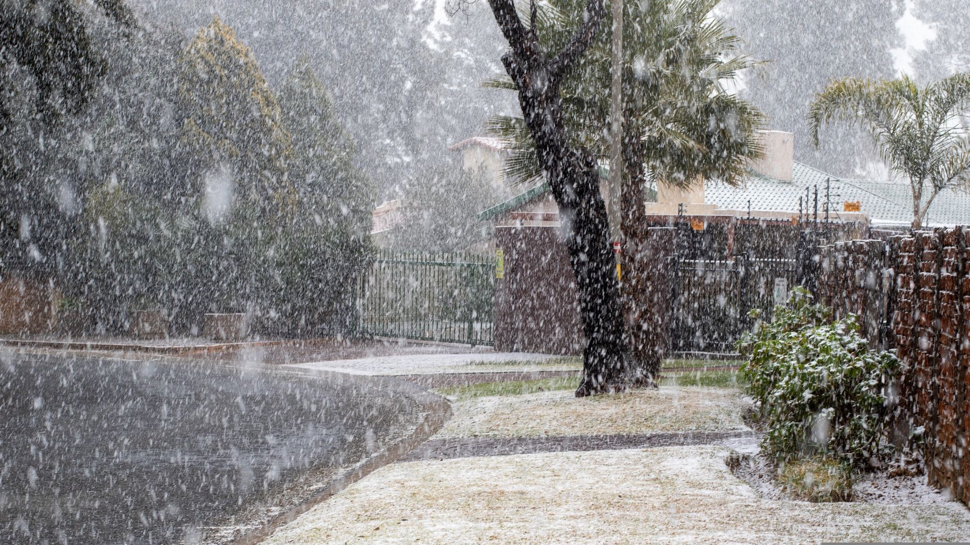 Johannesburg Witnesses Snow For The First Time In Over A Decade