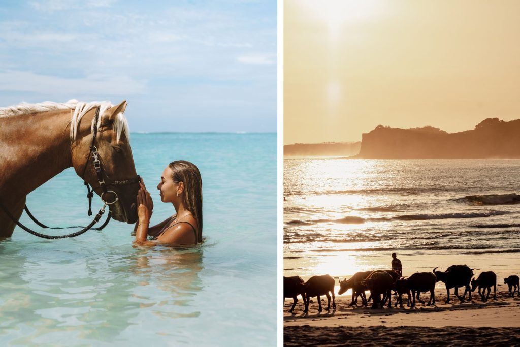 It's Like You Can't Build a Hotel on This Island Without Being Good People