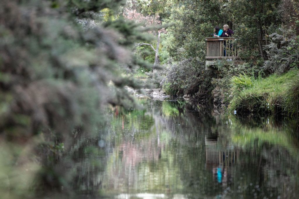 Platypus Walk, Geeveston