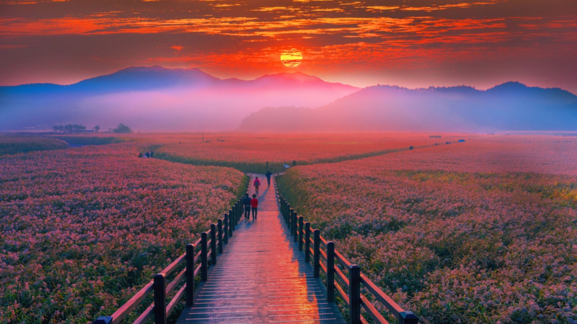 Best Places to Visit in South Korea