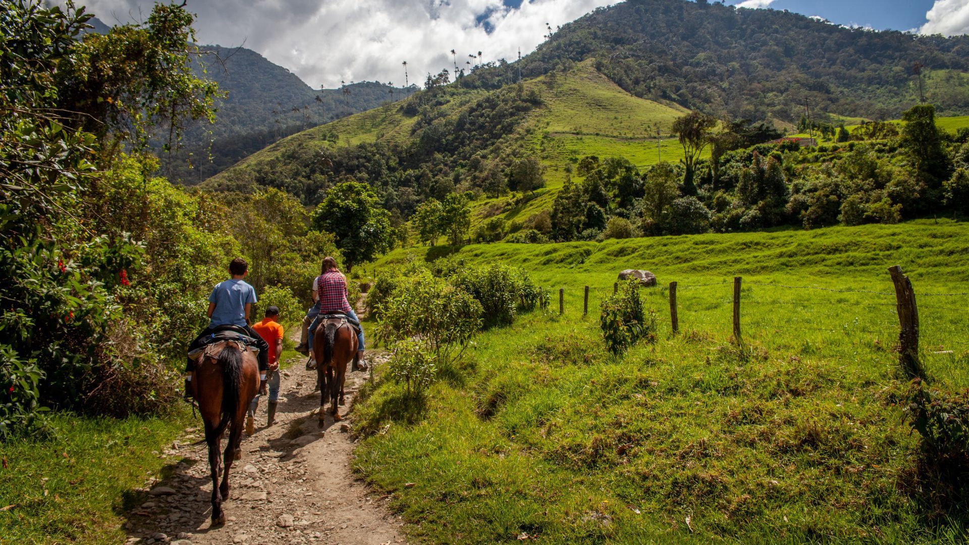 18 Best Places To Visit In 2024 A Bucket List Of Evergreen Offbeat   Cocora Valley 