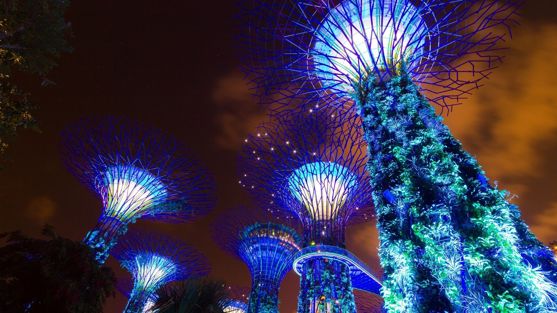 Christmas Lights In Singapore Your Guide To Dazzling Decorations