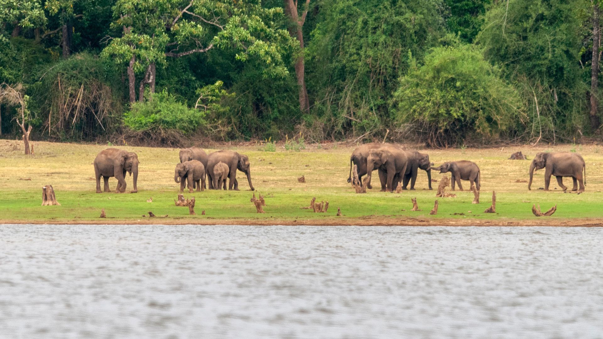 beautiful places in india