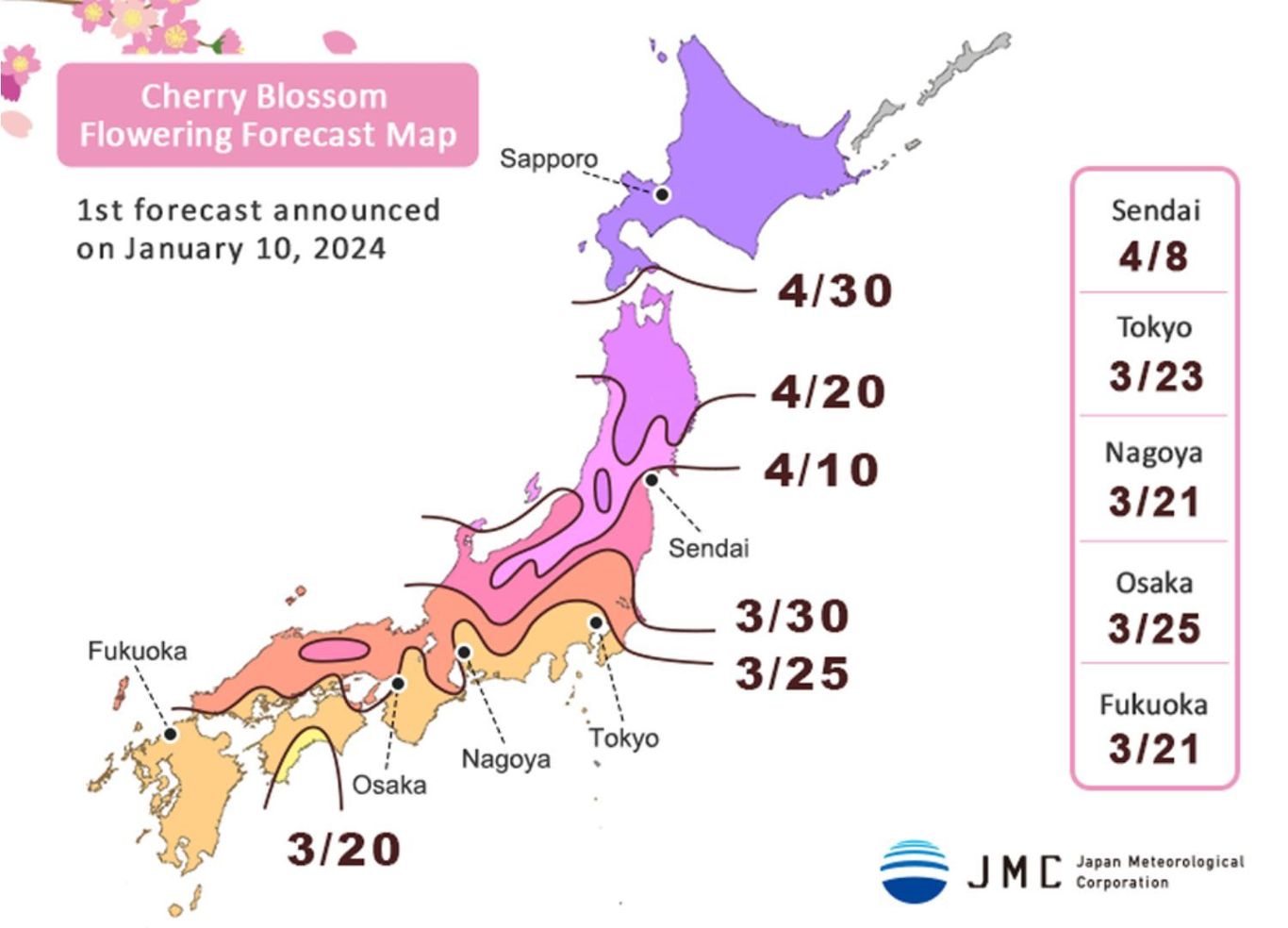 Japan's Cherry Blossom Season Best Time To Catch Sakura In 2024