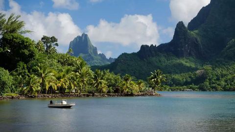 The Best Times To Visit Bora Bora For Good Weather, Lower Prices, And Whale Watching