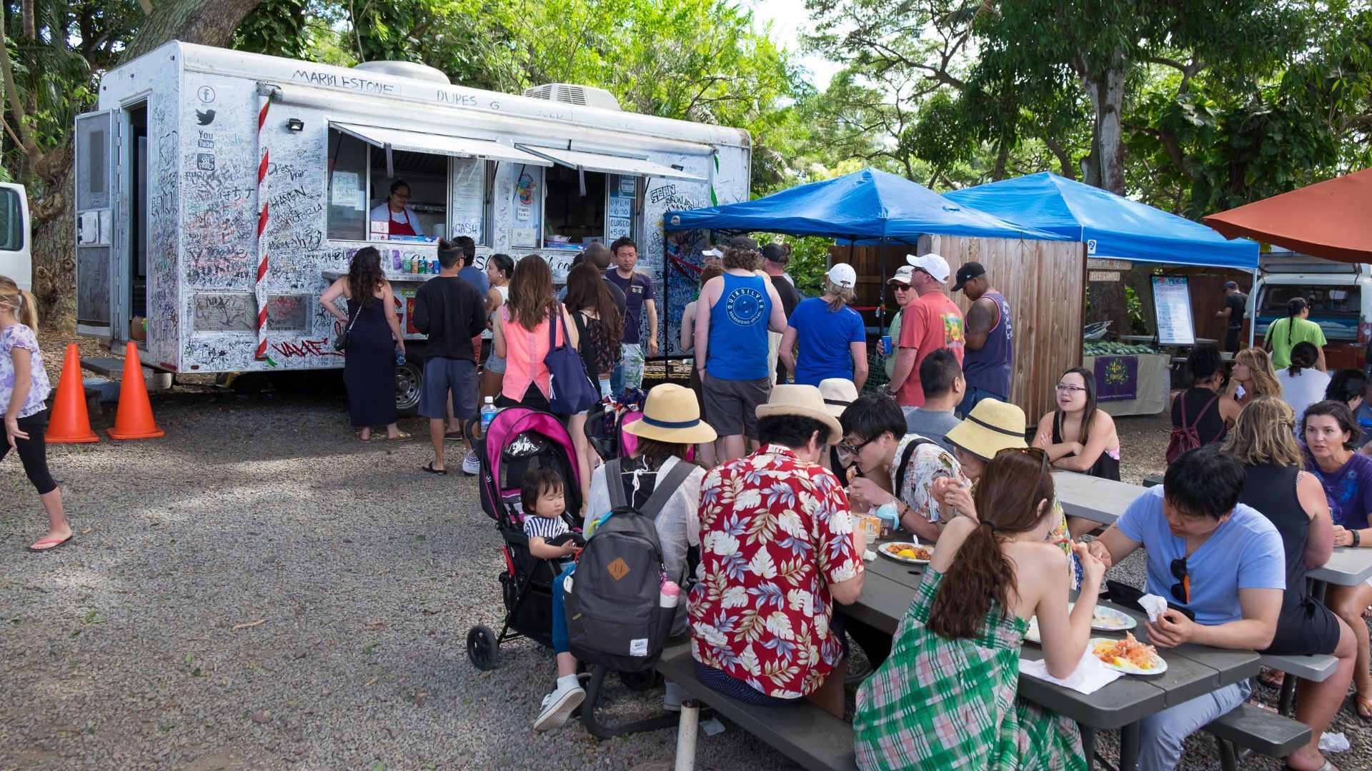 Hawaii tourist fee 2026