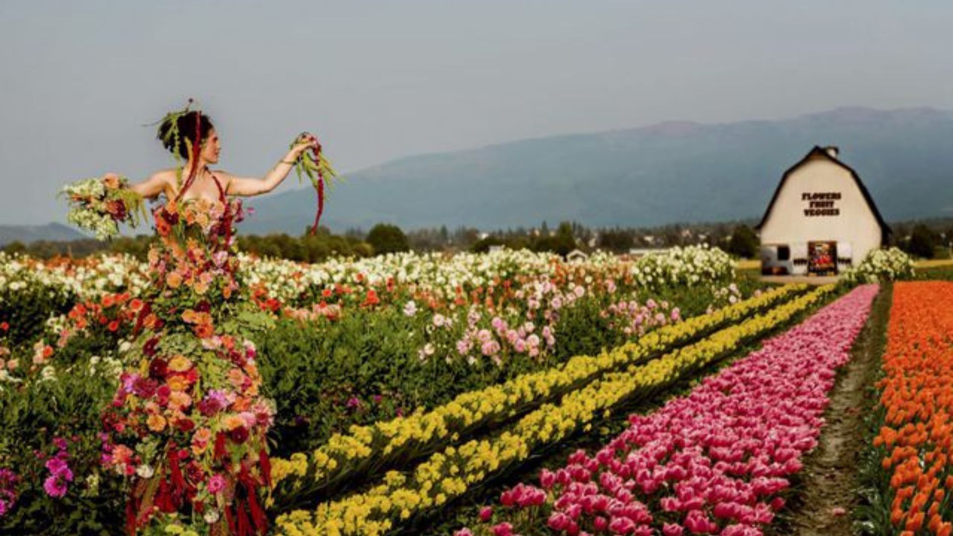 Skagit Valley Hosts The Largest Tulip Festival In The US