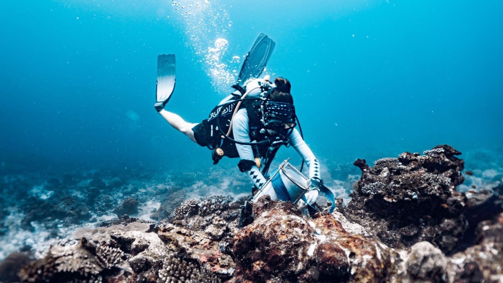What Does a Marine Biologist in the Maldives Do All Day?