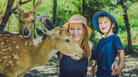 A Sanctuary Of Exotic Wonders: Your Ultimate Guide To Bali Zoo
