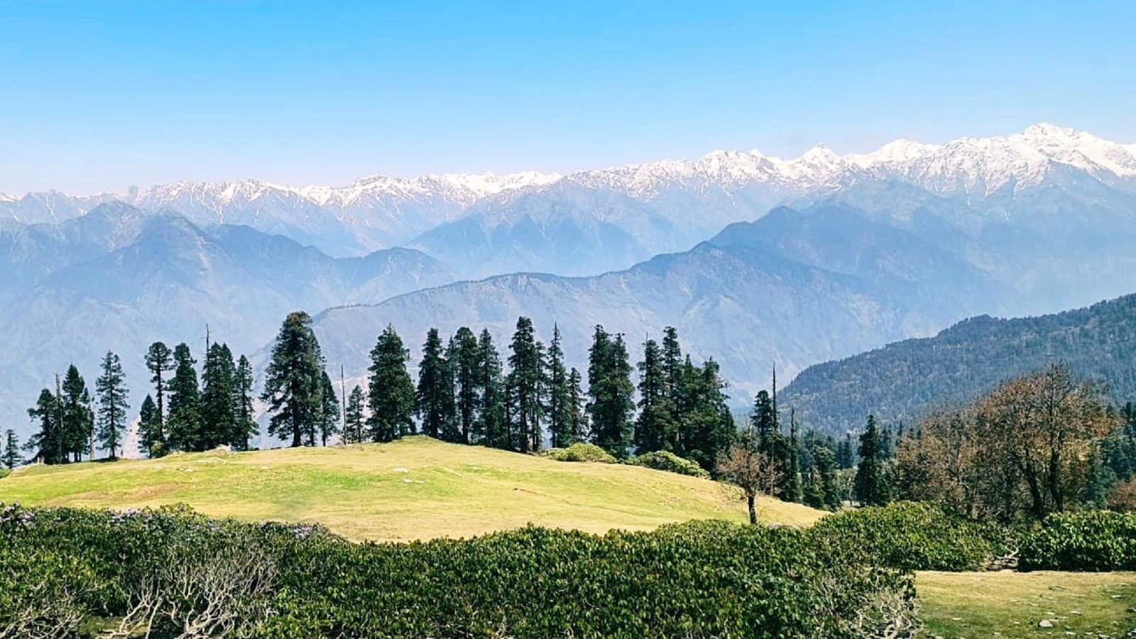 Phulara Ridge Trek: Offbeat Hill Station In Uttarakhand To Explore 2024