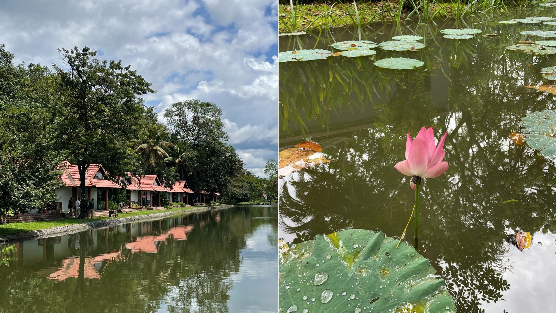 Places To Visit Near Kochi Weekend Getaways From The 'Queen of the