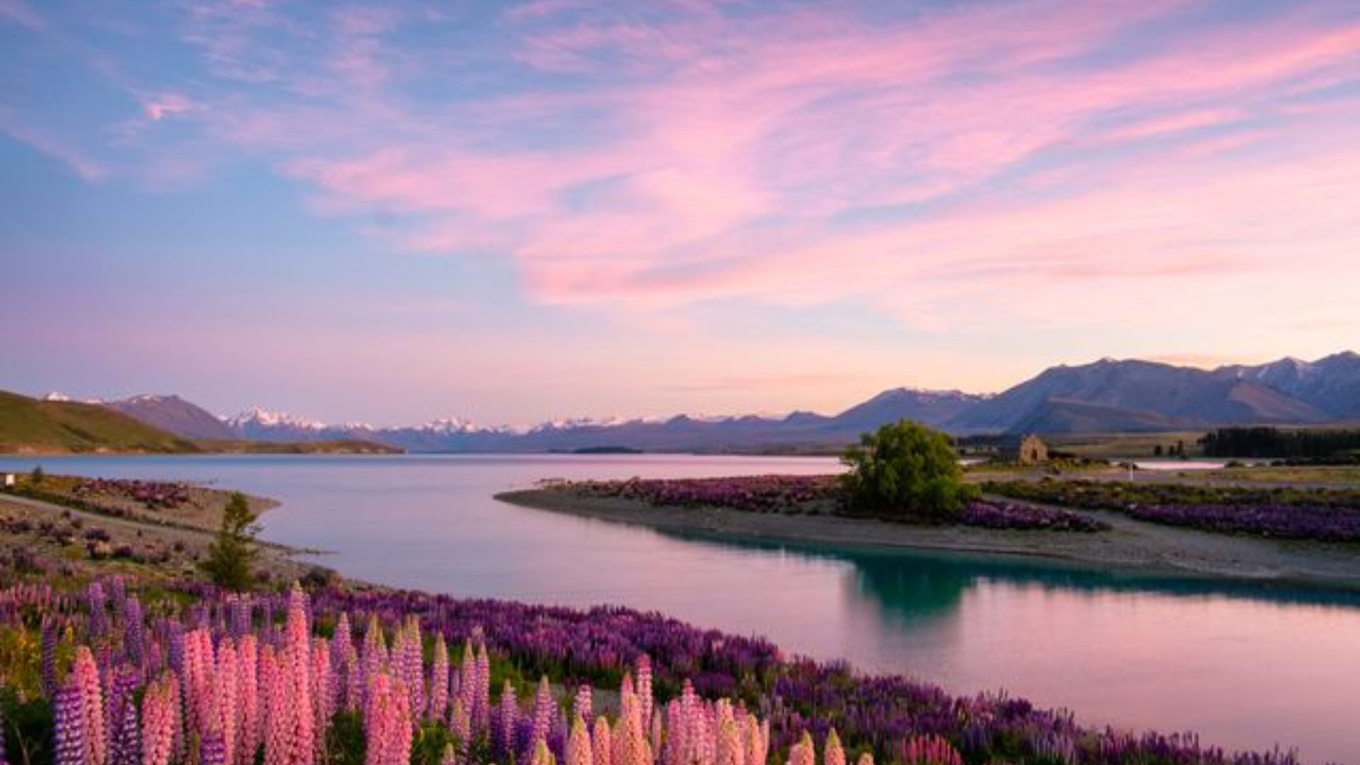 Find The Best Time To Visit New Zealand, image size:1920x1080