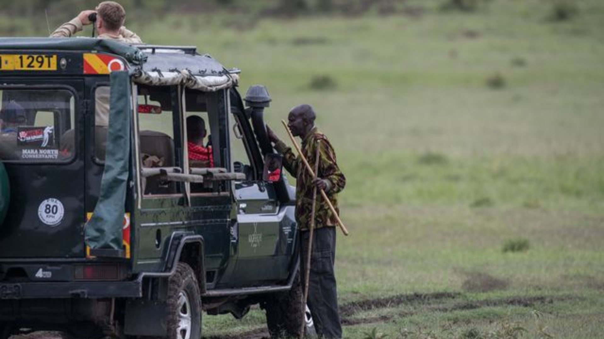 A guided safari tour 