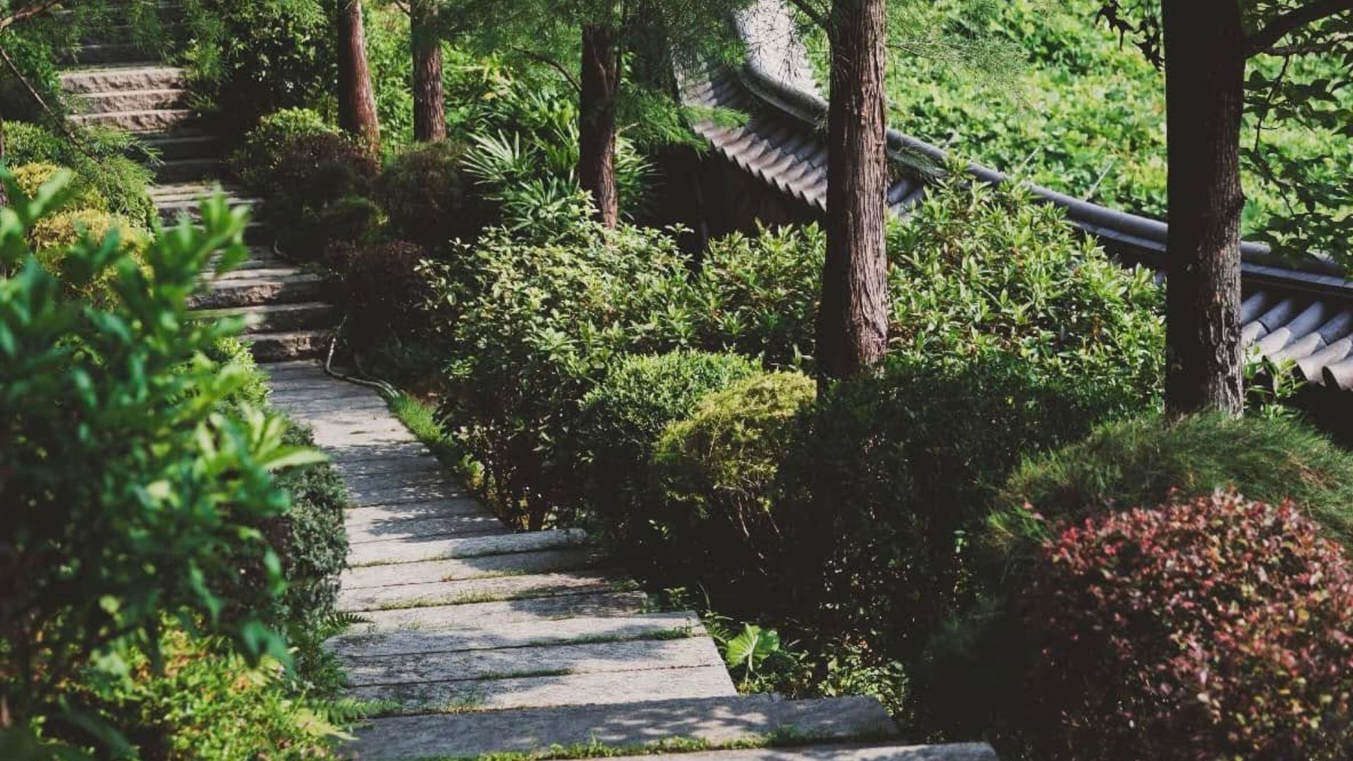 Tsz Shan Monastery