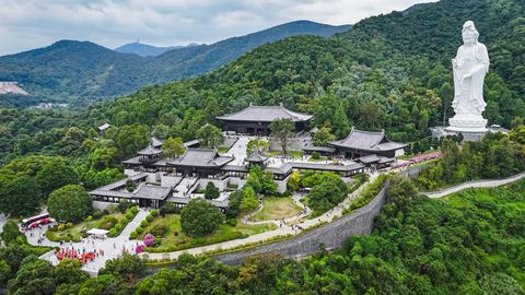 Exploring Tsz Shan Monastery, A Sanctuary Of Buddhist Culture In Hong Kong