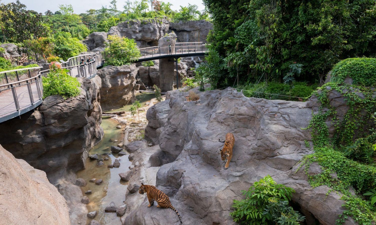 This New Adventure Zoo Lets You Walk (and Climb) with the Animals