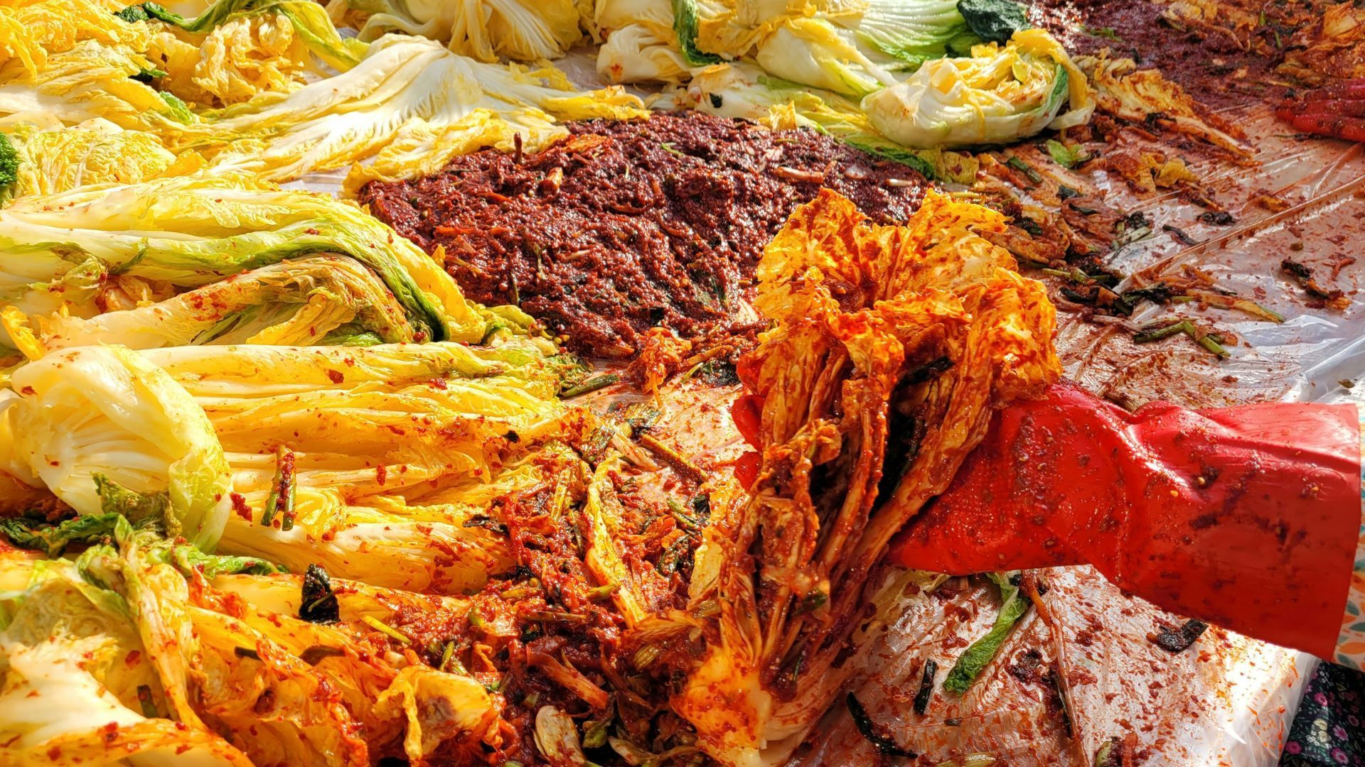 kimchi preparation zodiac travel 