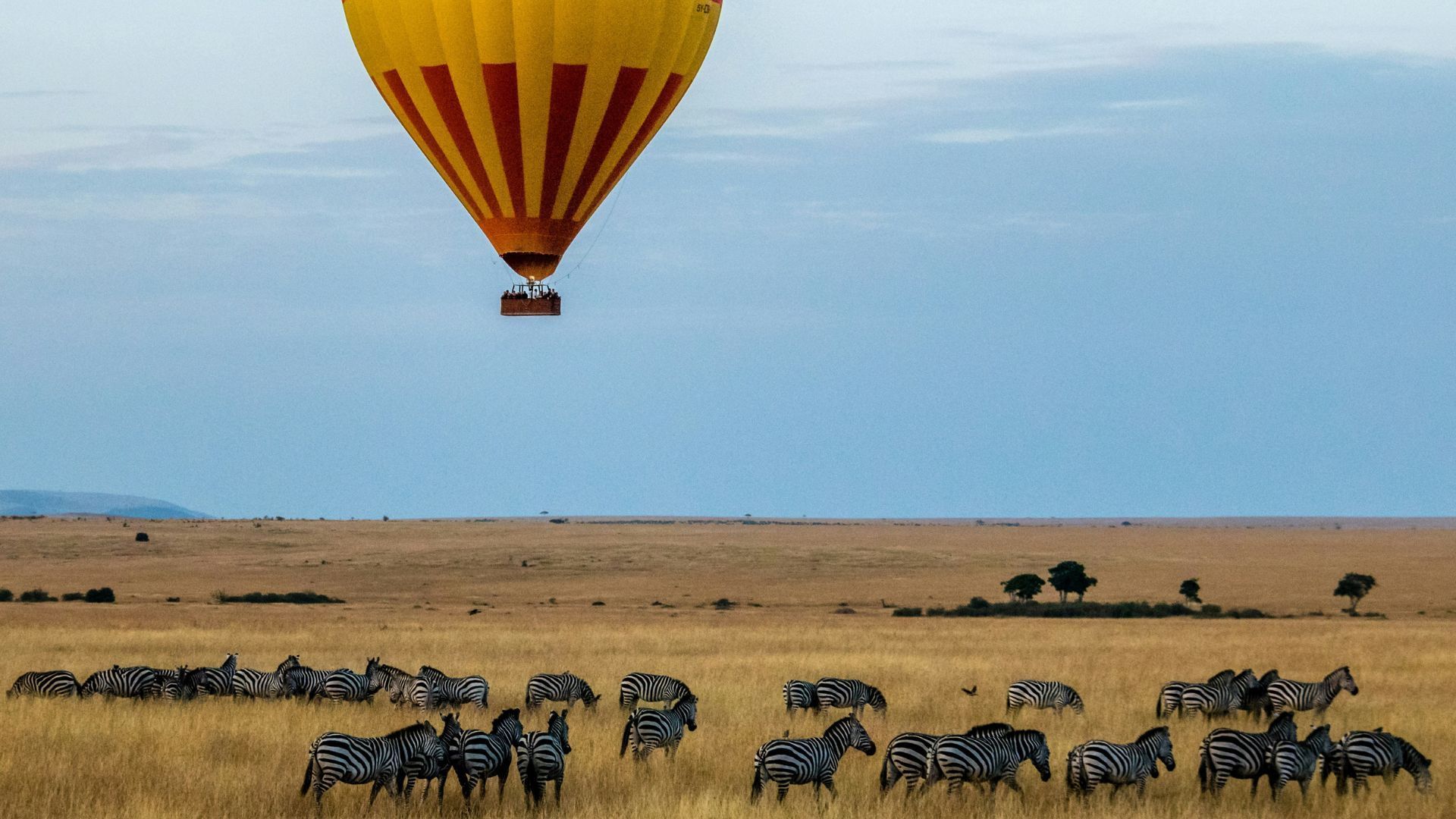 Masai Mara Africa