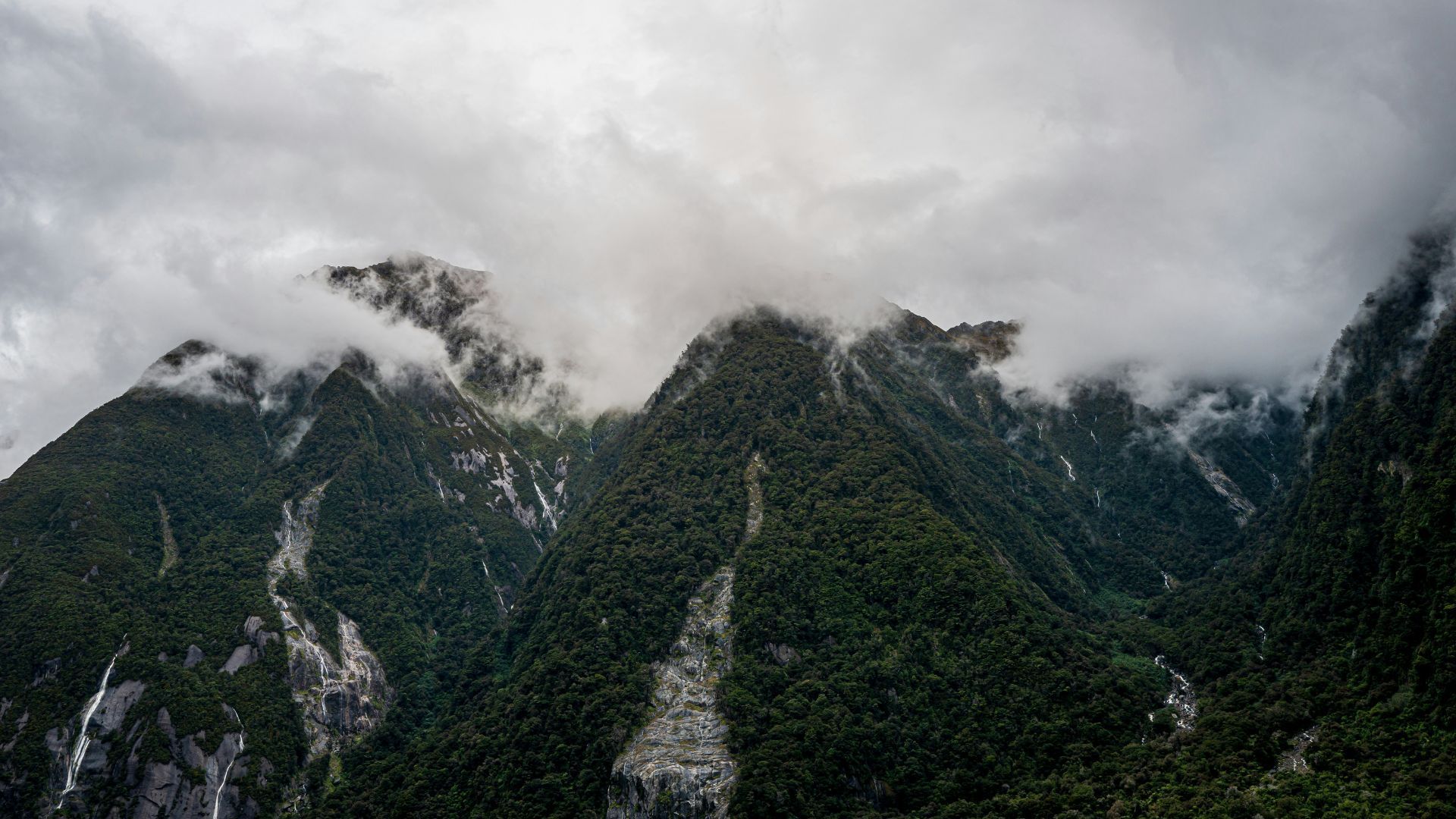 Milford sound zodiac travel 2026