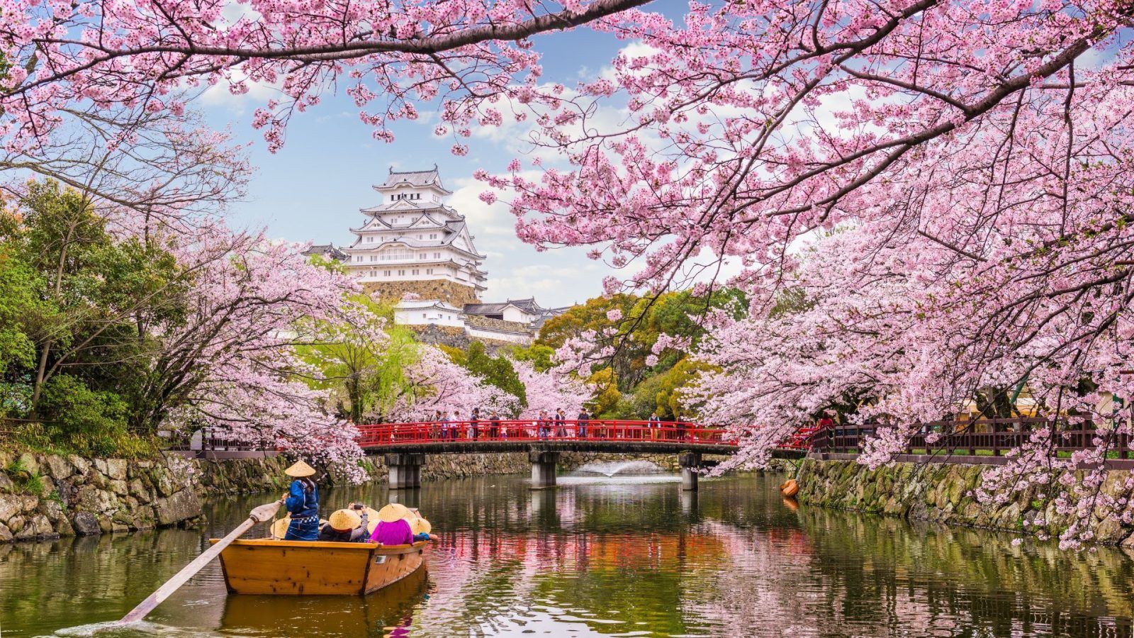 Japan Cherry Blossom Forecast: Bloom Dates For Year 2026 Revealed!