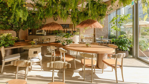 Some Of The Best New Cafes & Coffee Shops To Visit In Hong Kong On Your 2026 Trip