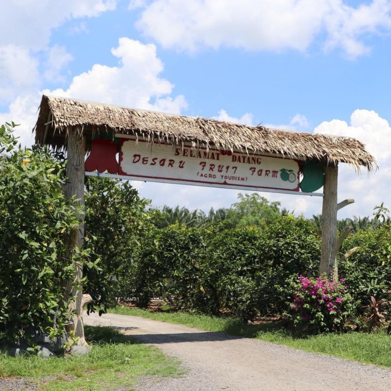 Fruit Farm