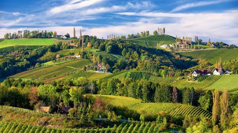 Why You Need To Plan An Austrian Wine Drive Now