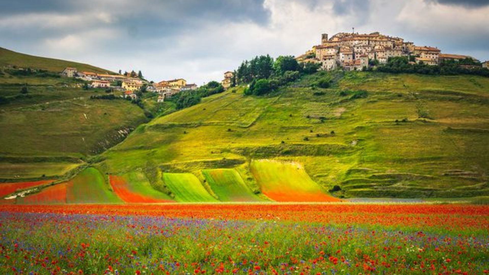 Fioritura