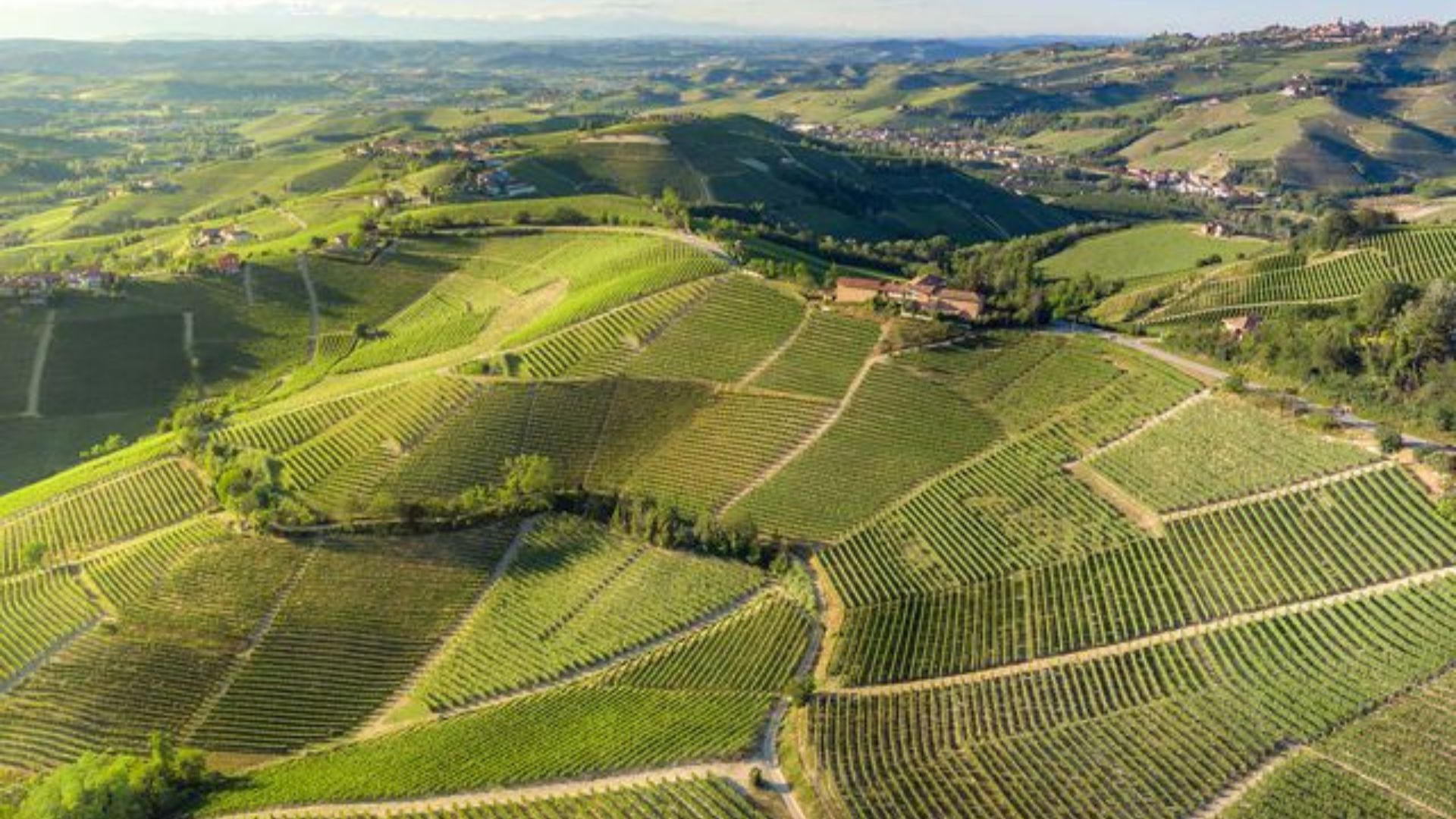Langhe