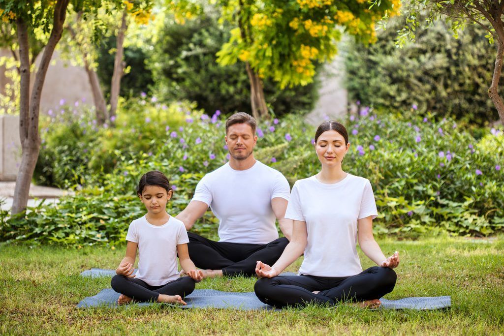 Family mediation, Zulal Discovery