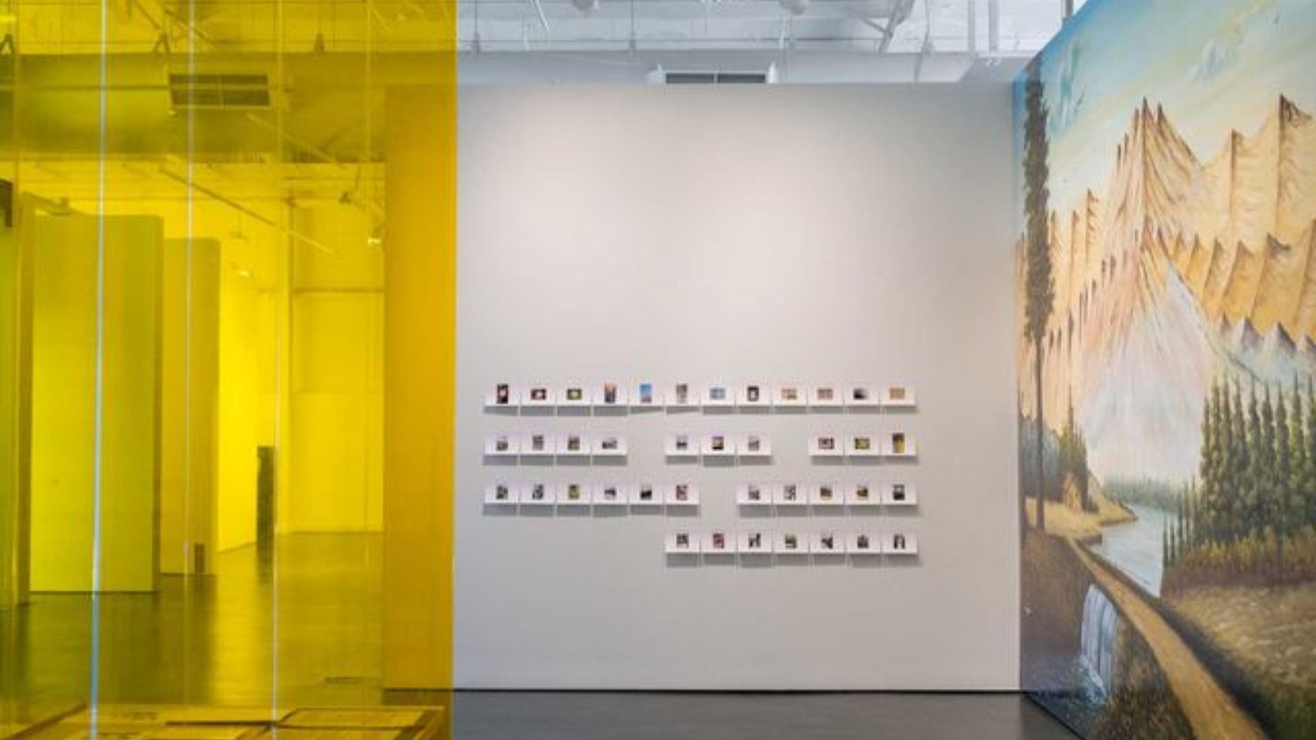 Gallery exhibition