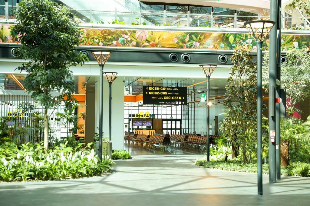 Orchard