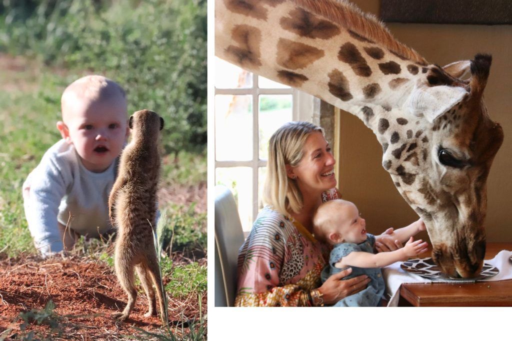 Indah met meerkats; peek a book in the breakfast at Giraffe Manor, tips for travelling with toddlers