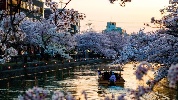 Kyoto Travel Guide: All You Need To Know To Explore Japan’s Scenic City