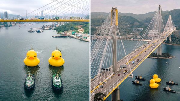Giant Rubber Ducks Spotted Back In Hong Kong For An Upcoming Art Exhibition
