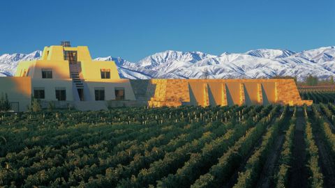 Argentina To Australia: These Are The World's 50 Best Vineyards To Visit In 2023