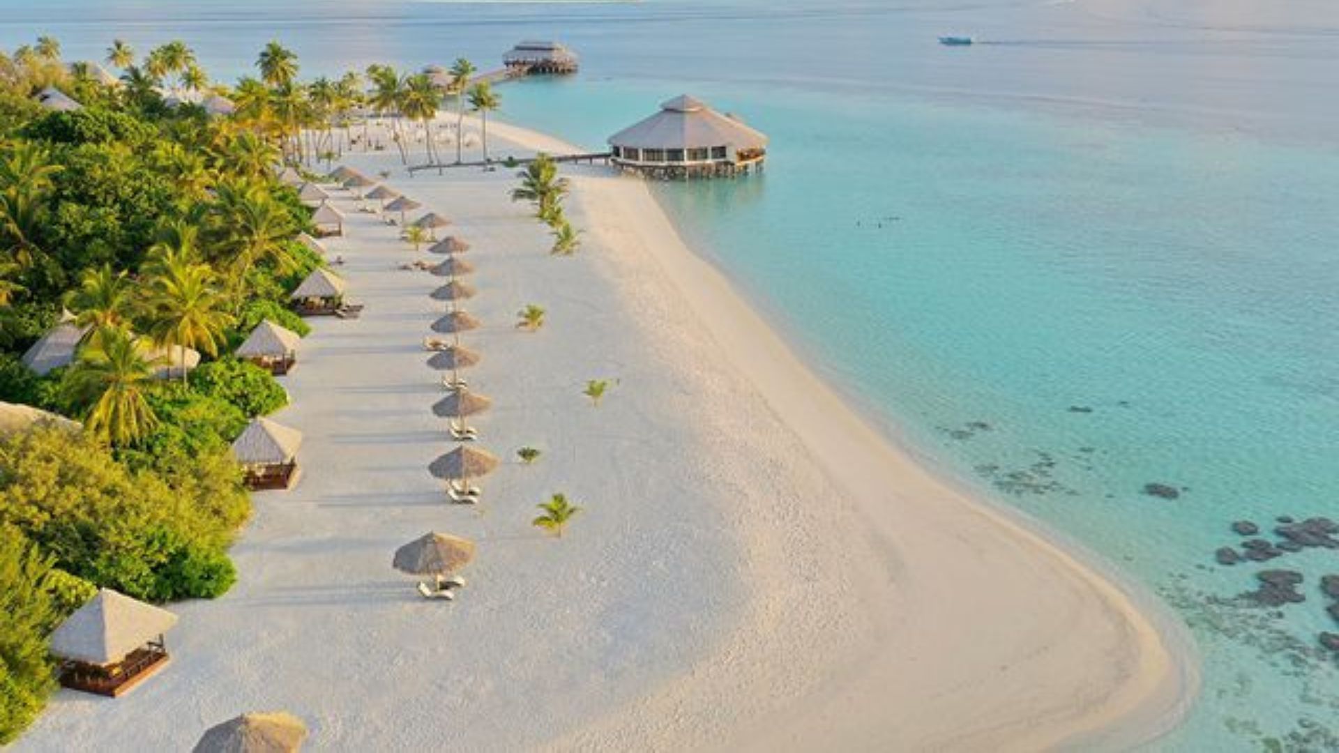 The Best Tropical Vacations Around The World