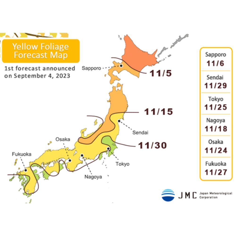 Star Fall Japan Japan Gets Ready For Fall Leaves Spectacle This Autumn