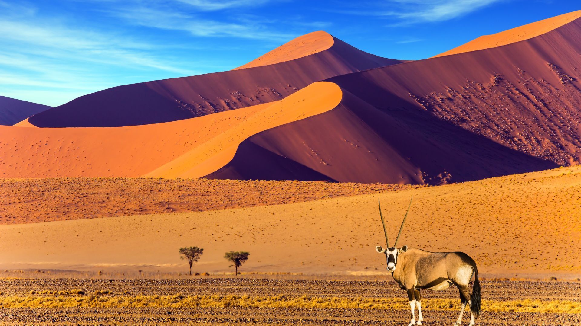 The Most Stunning Snapshots Of Namibia Deserts Culture And Beyond the-most-stunning-snapshots-of-namibia-deserts-culture-and-beyond