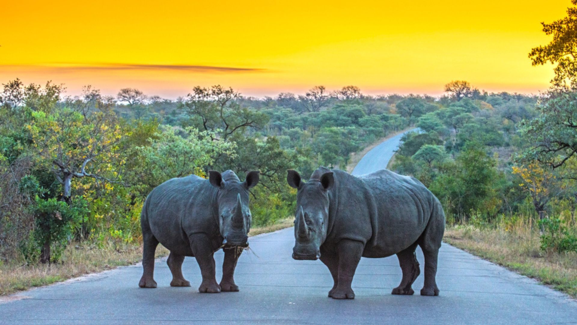 Best Times to Visit South Africa, According to Locals