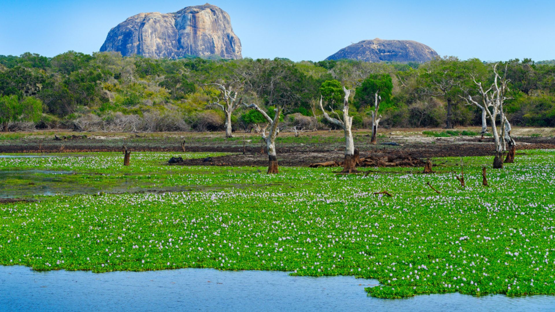 beautiful places in Sri Lanka