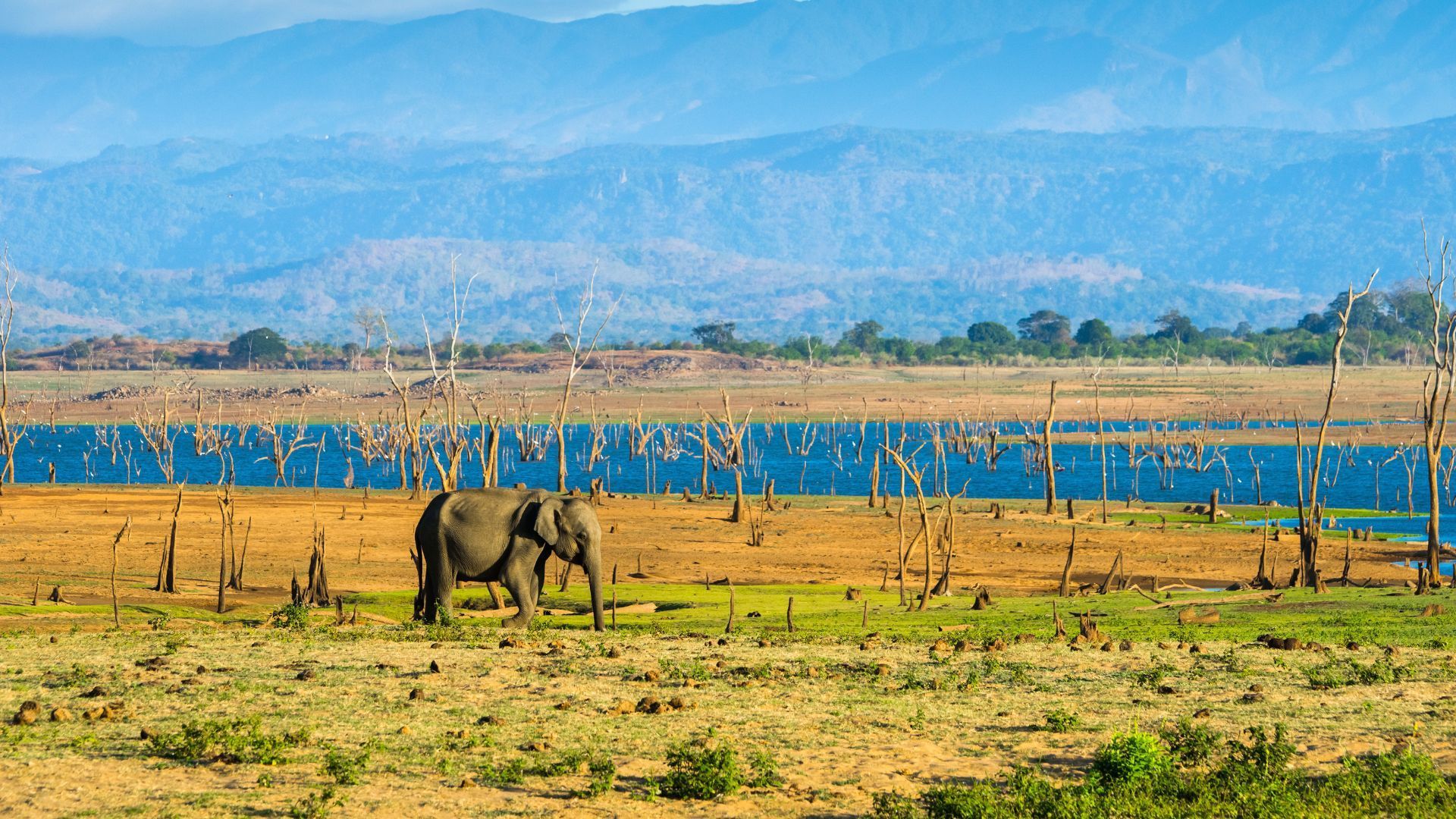 beautiful places in Sri Lanka